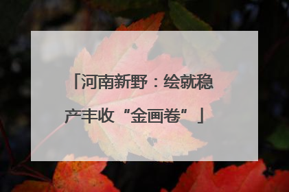 河南新野：绘就稳产丰收“金画卷”
